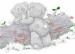 bears
